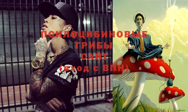 ГАЛЛЮЦИНОГЕННЫЕ ГРИБЫ Алексеевка
