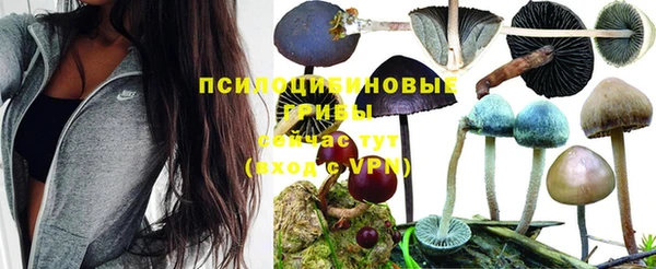 кокаин перу Алзамай