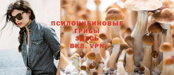 ГАЛЛЮЦИНОГЕННЫЕ ГРИБЫ Алексеевка